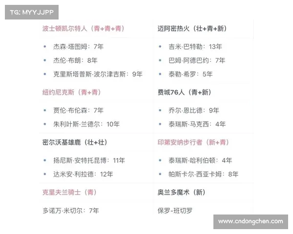 NBA新秀赛季初期表现分析：新星崛起与老将对比逐渐显现