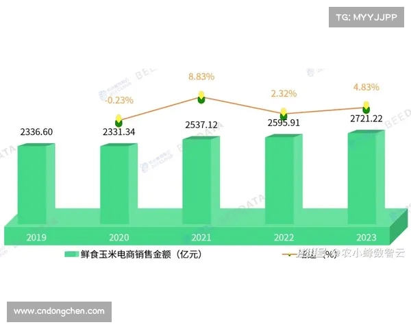 法甲俱乐部球队分析与未来发展趋势探讨